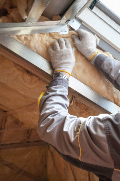 Best Fiberglass Insulation in Hollywood Park, TX