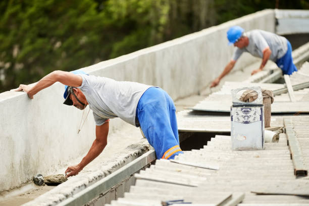Best Cellulose Insulation in Hollywood Park, TX