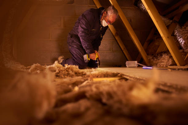 Best Insulation for Specific Applications in Hollywood Park, TX